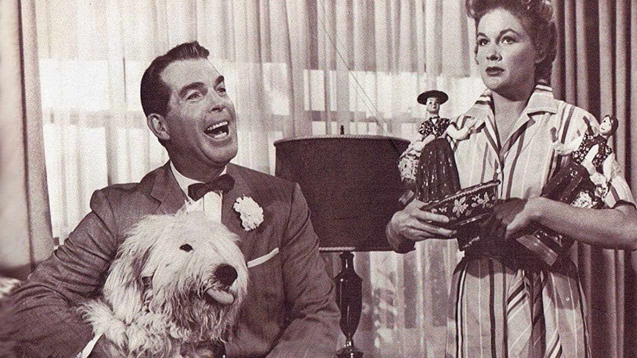 The Shaggy Dog Collection